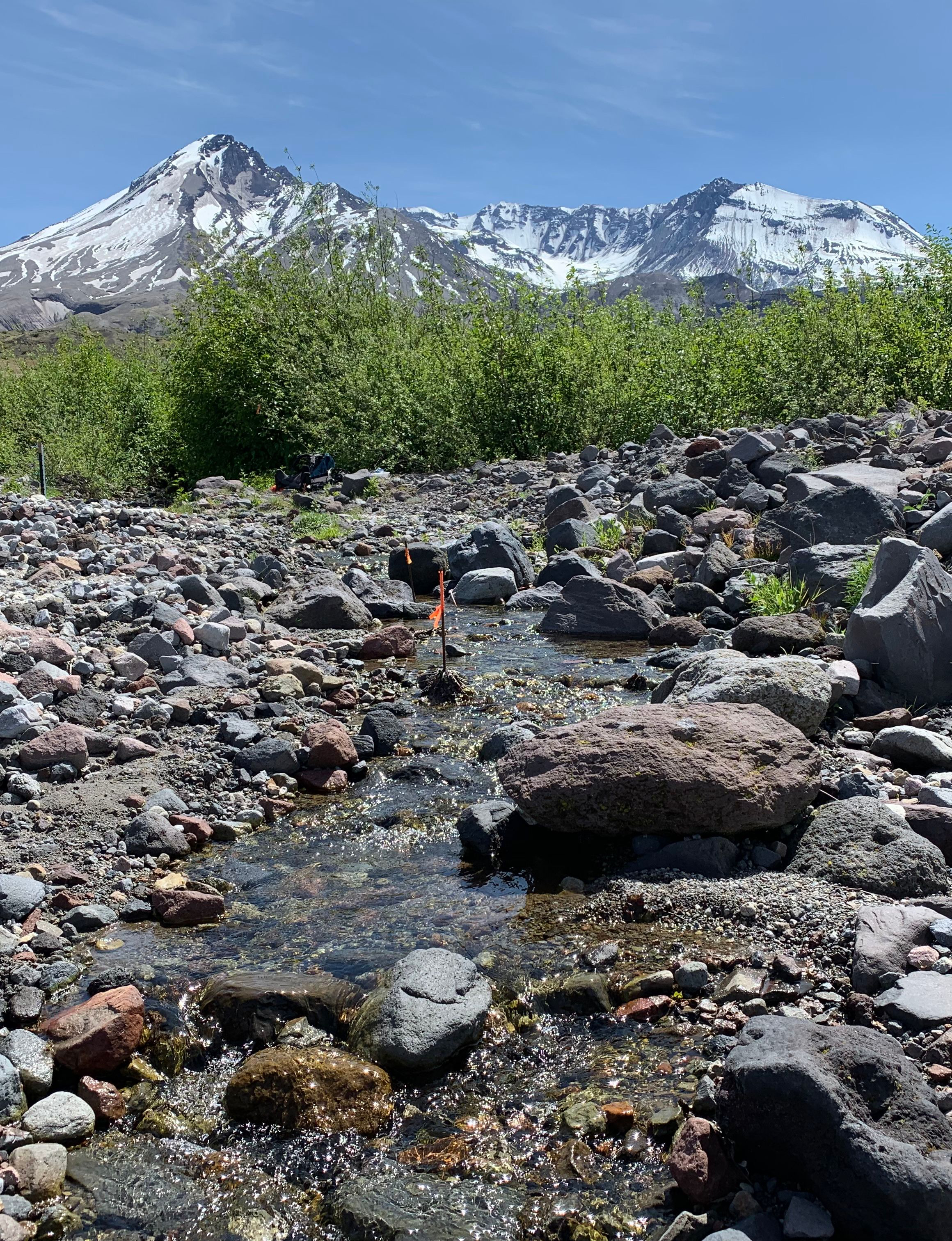 Photo of stream with Mount St. Helens in background.