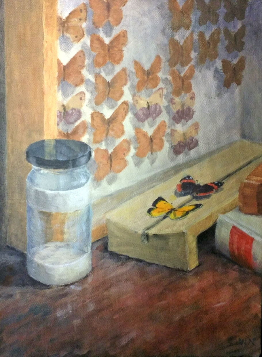 Painting of butterfly specimens, untitled
